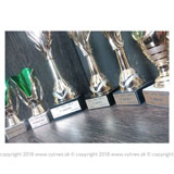 gravir_20